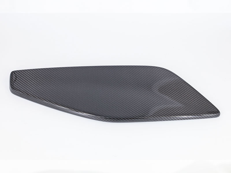 GT3 RS Wing End Plates