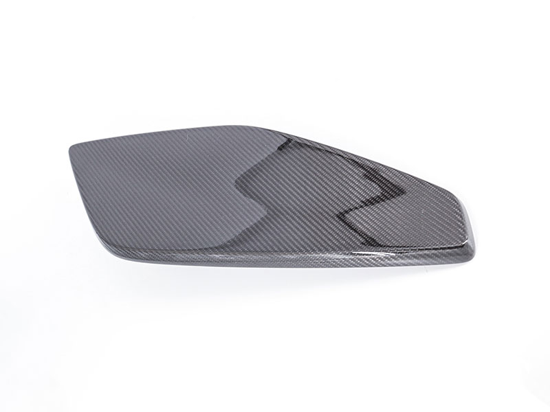 GT3 RS Wing End Plates